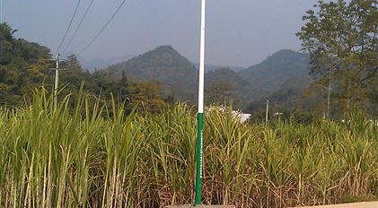 百色市田東內養(yǎng)屯太陽能路燈